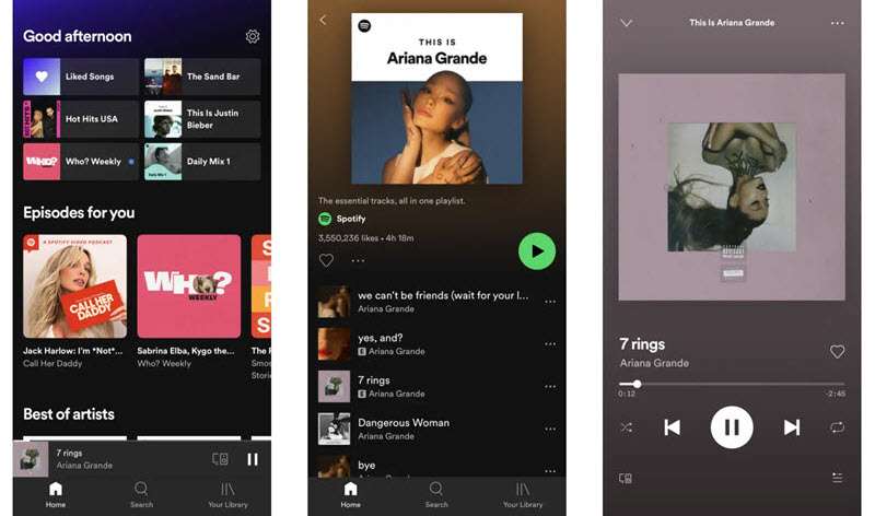 Spotify++ 應用程式介面